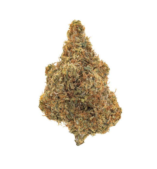 Organic CBD Shark Oil