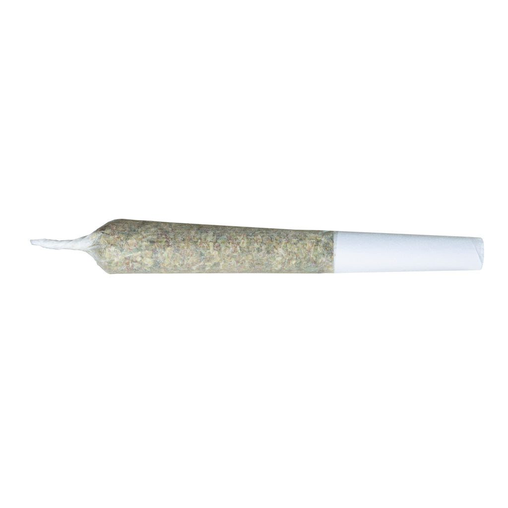 Indica Aurora Aces