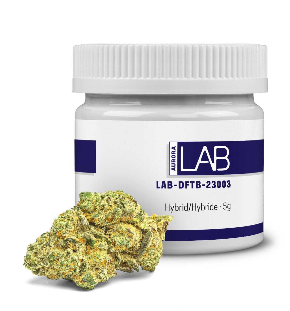 LAB-DFTB-23003