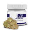 LAB-DFTB-24001 – 5g