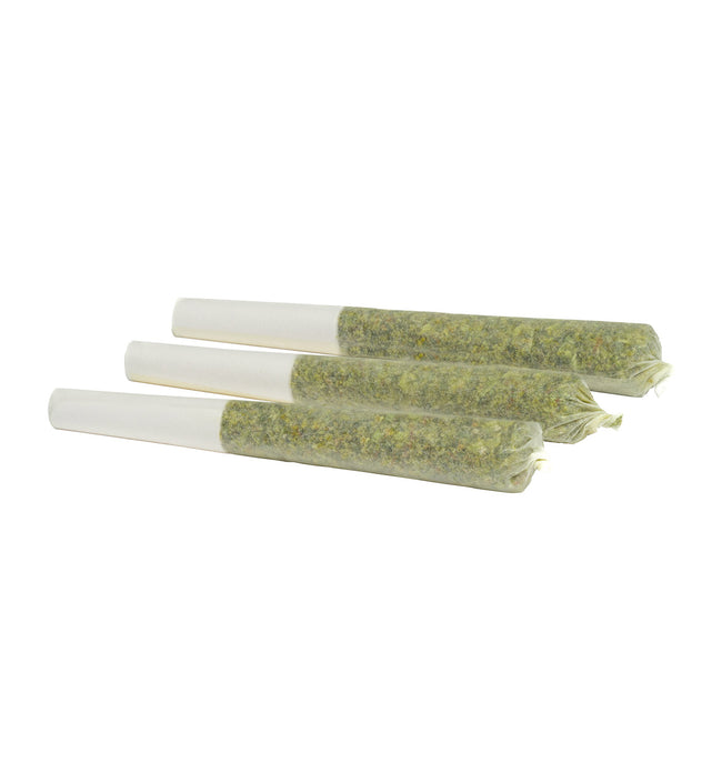 Critical Diesel Pre-Rolls-2