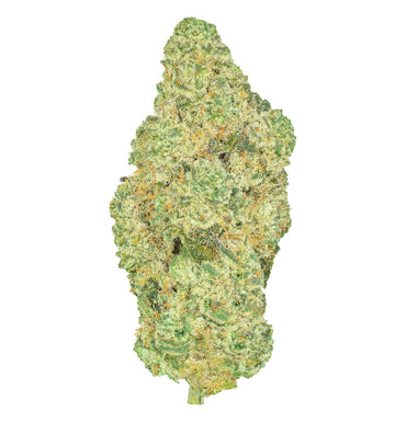 Courage | Variétés pour héros