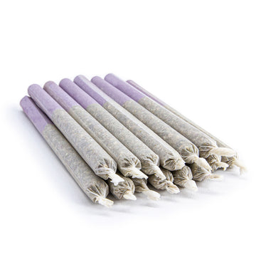 Les préroulés PINNRZMD Purple