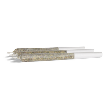 P’tits vites de Driftwood Diesel - Préroulés infusés
