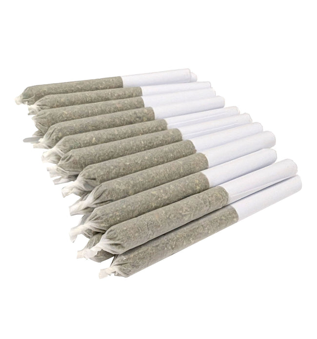 Pot de préroulés BC Purple Kush