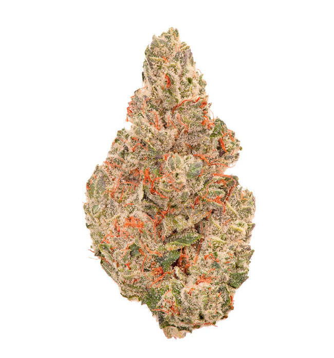 Organic Medical Glu