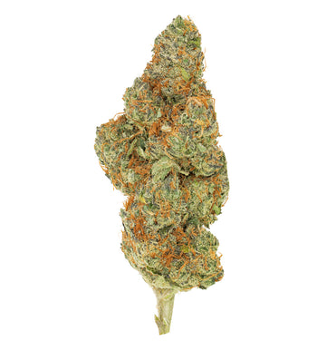 Seasonal Stash - Funk Dynasty