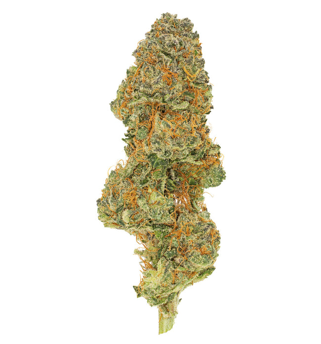 Seasonal Stash - Yuzunami